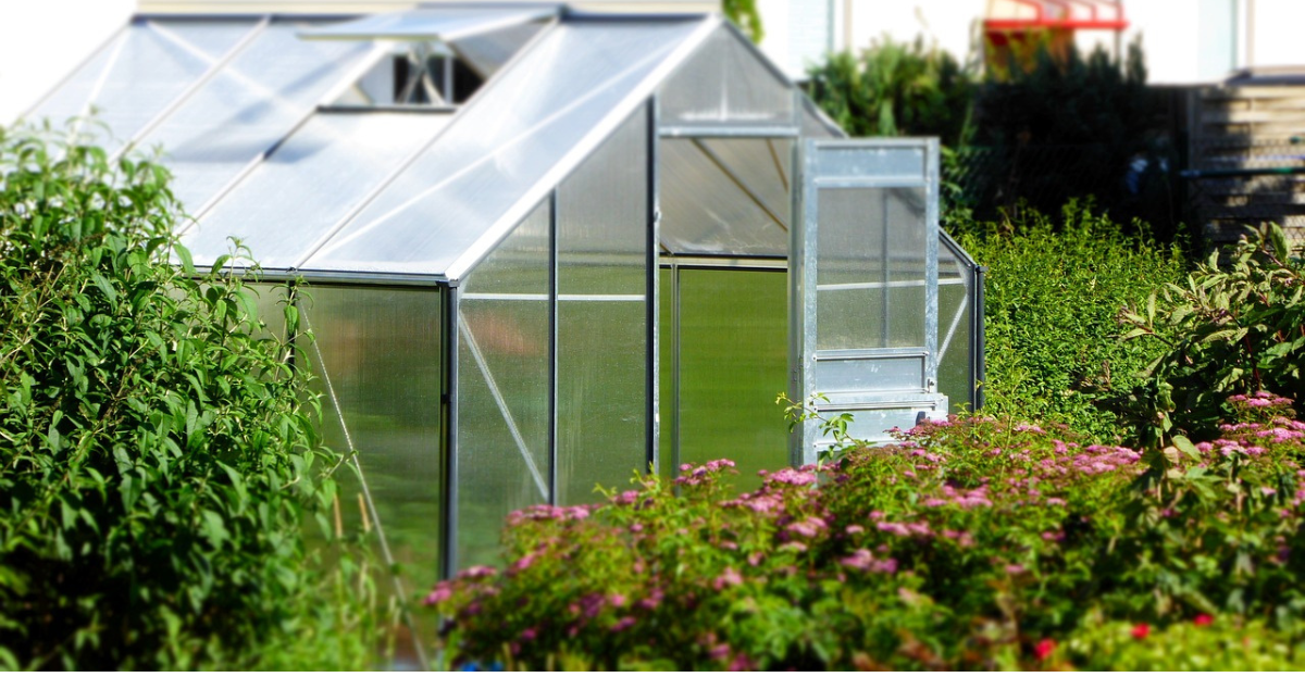 Green house 